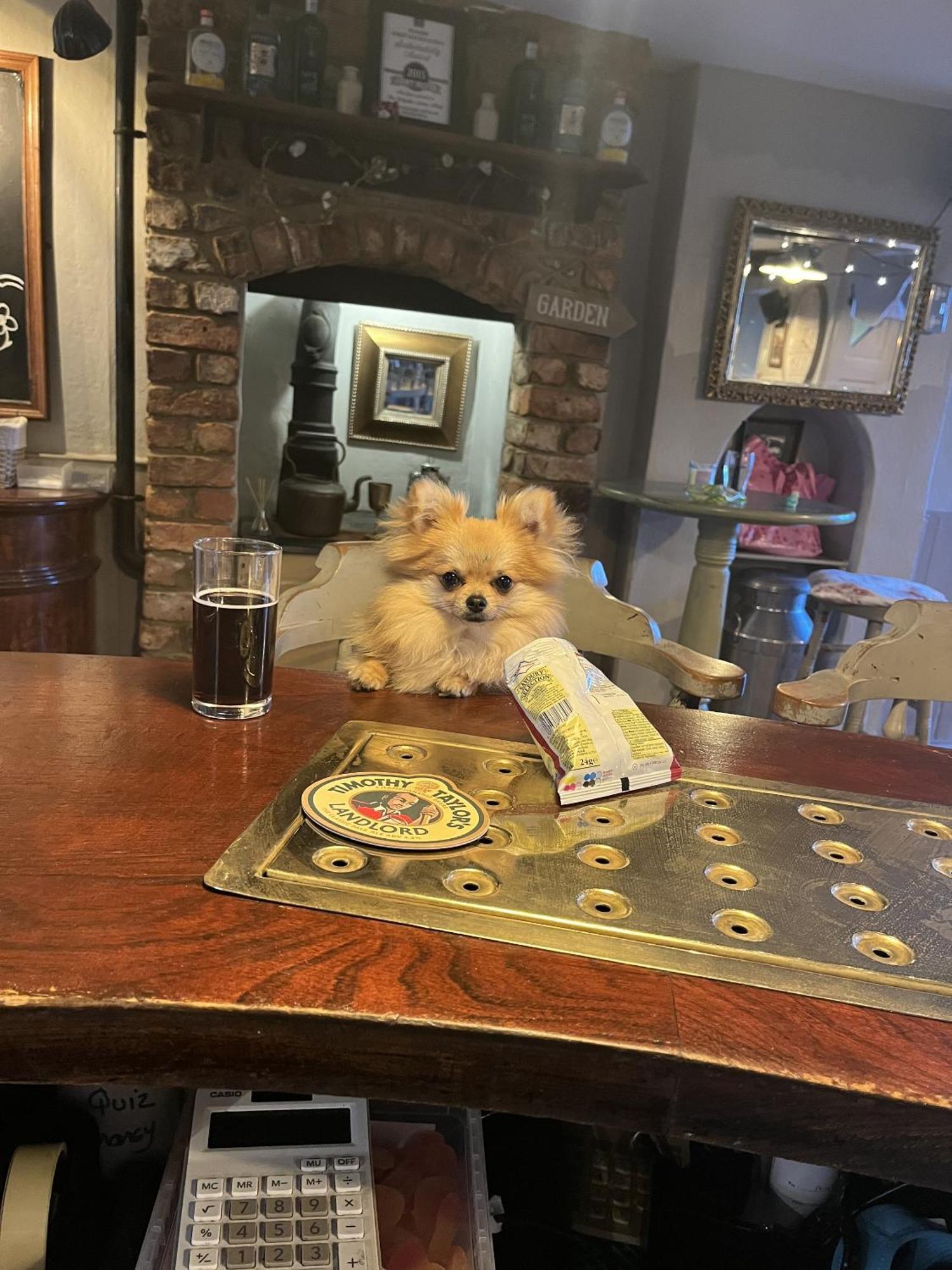 The Ilchester Arms Hotel Abbotsbury Luaran gambar